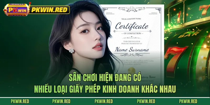 Sân chơi hiện đang có nhiều loại giấy phép kinh doanh khác nhau