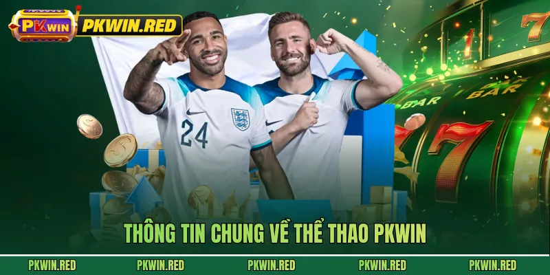 Thông tin chung về thể thao PKWIN